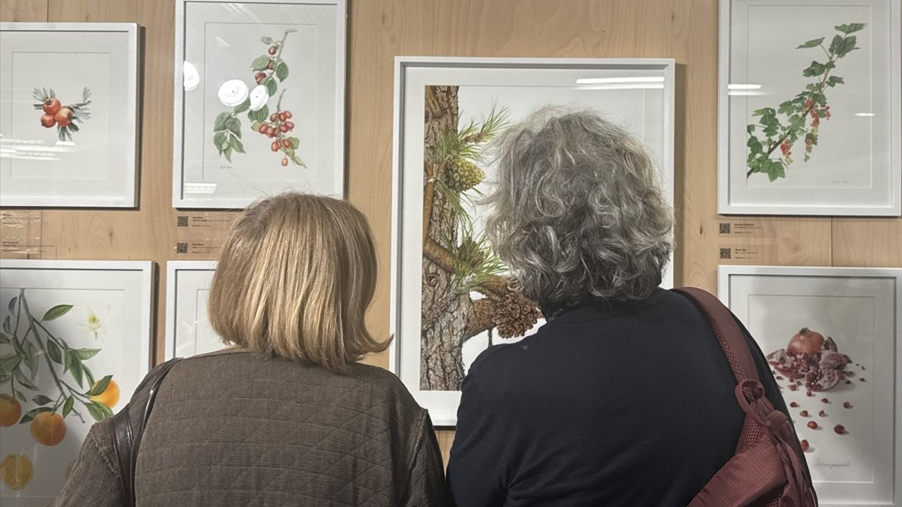 Anadolu'nun Bitki Mirası Sergisi Salt Beyoğlu'nda Açıldı
