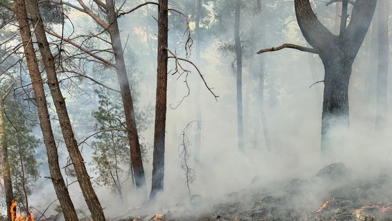 Antalya Kumluca'daki Orman Yangını Kontrol Altına Alındı