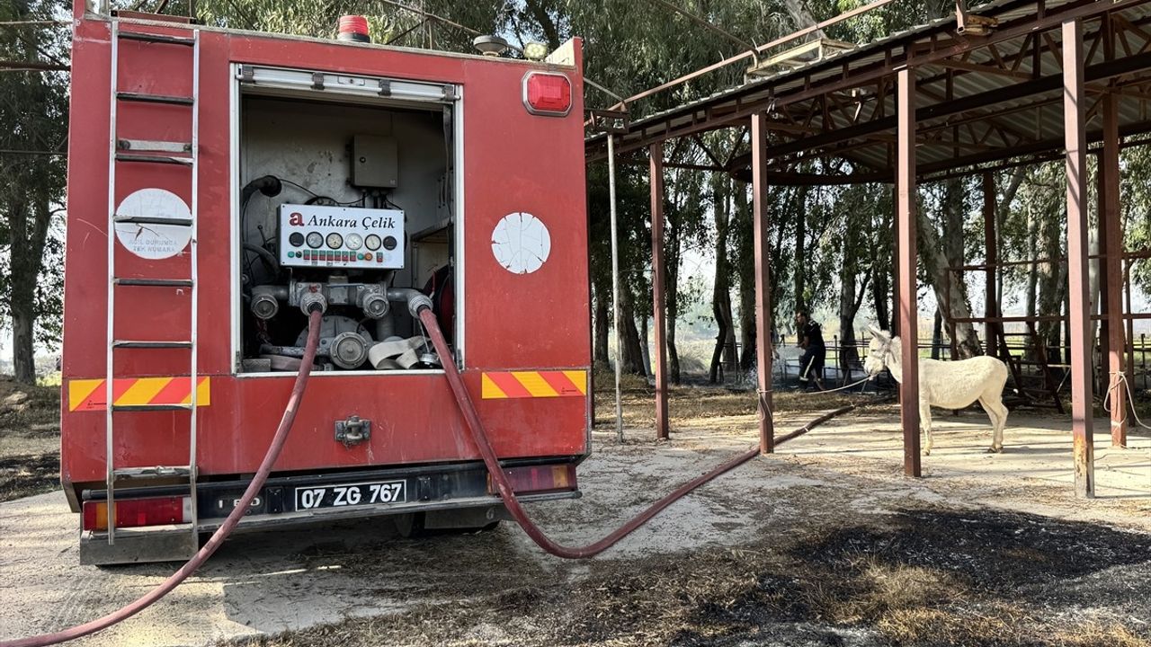 Antalya'nın Muratpaşa İlçesinde Orman Yangını Kontrol Altına Alındı