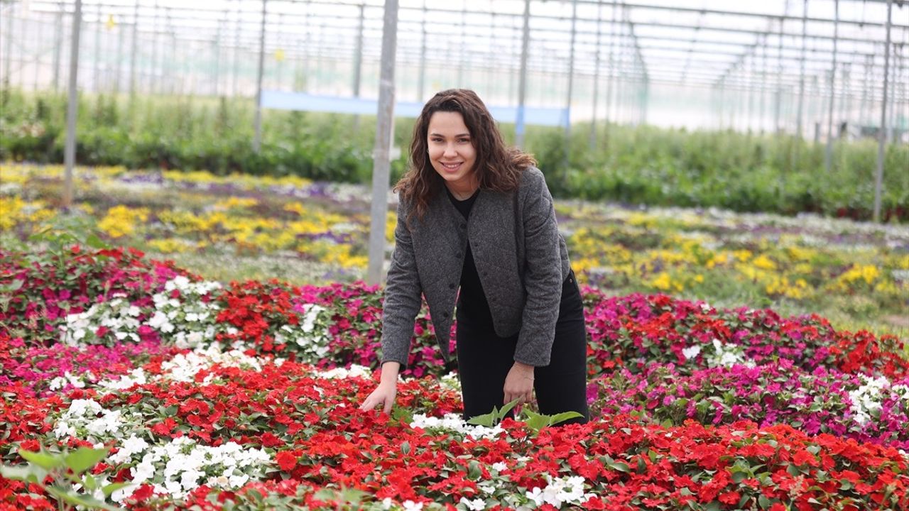 Antalyalı Elif Erüst, Yenilebilir Menekşelerin Raf Ömrünü 30 Güne Çıkardı