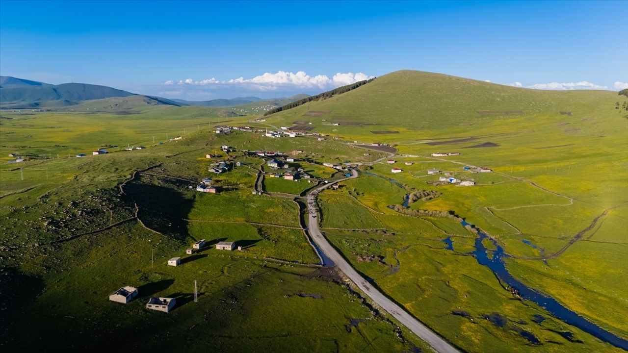 Ardahan'daki Mendereslerin İlkbahar Güzellikleri