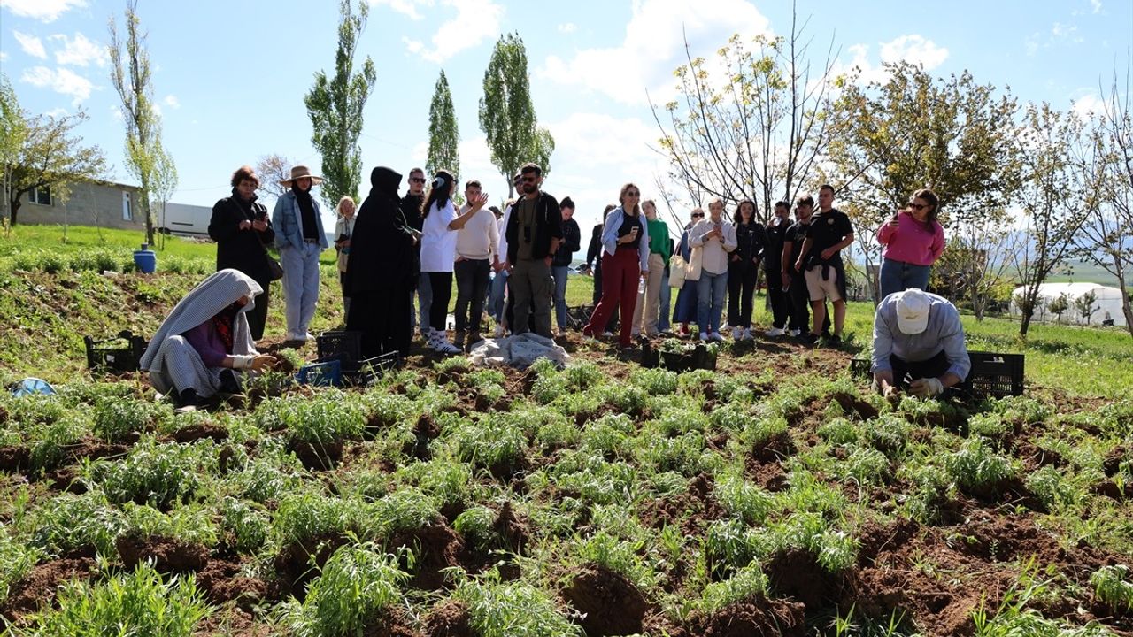 Avrupalı Gençler Bayburt'un Tarihi ve Turistik Mekanlarını Keşfetti