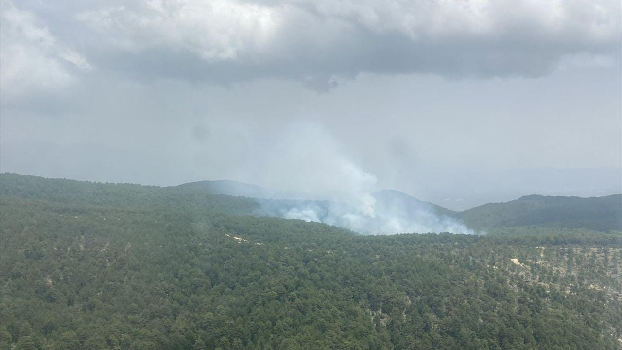 Aydın'ın Bozdoğan İlçesindeki Orman Yangını Kontrol Altına Alındı