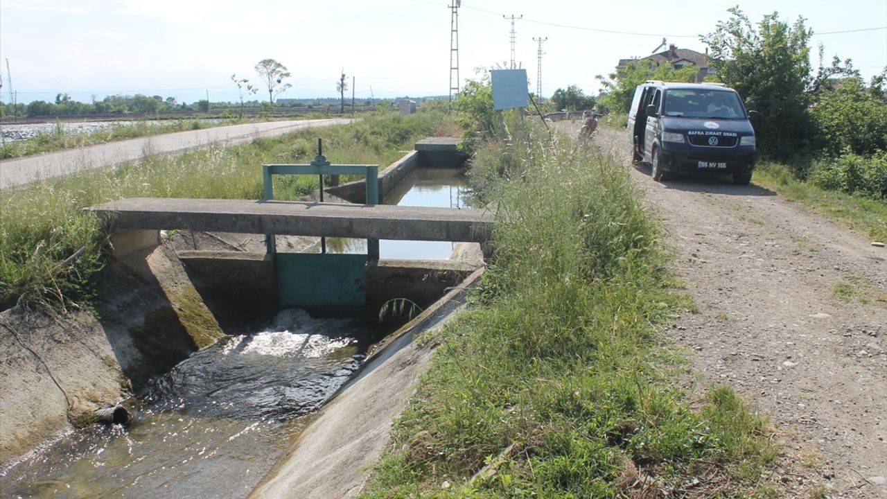 Bafra Ovası'ndaki Çeltik Üreticilerine Suyun Bilinçli Kullanımı Uyarısı