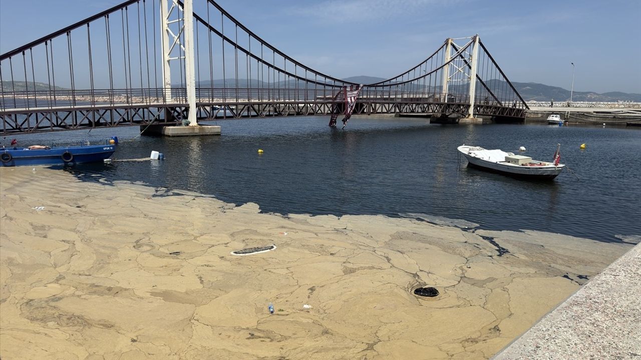 Bandırma Kıyılarında Müsilaj Görüntülendi