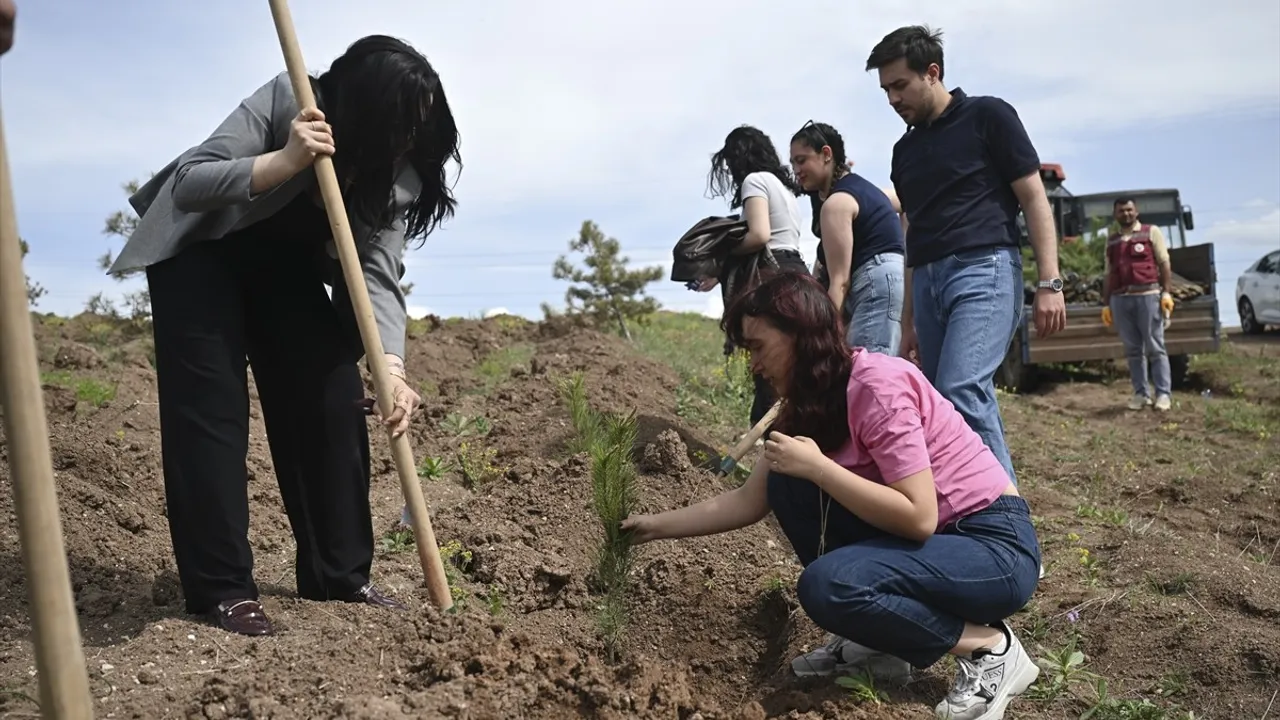 Başkentte Şiddete Uğrayan Kadınlar Anısına 2 Bin Fidan Dikildi
