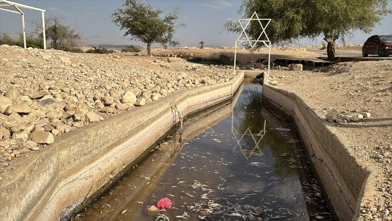 Batı Şeria'daki Auca Pınarı'nın Kuruması, Filistinlileri Olumsuz Etkiliyor