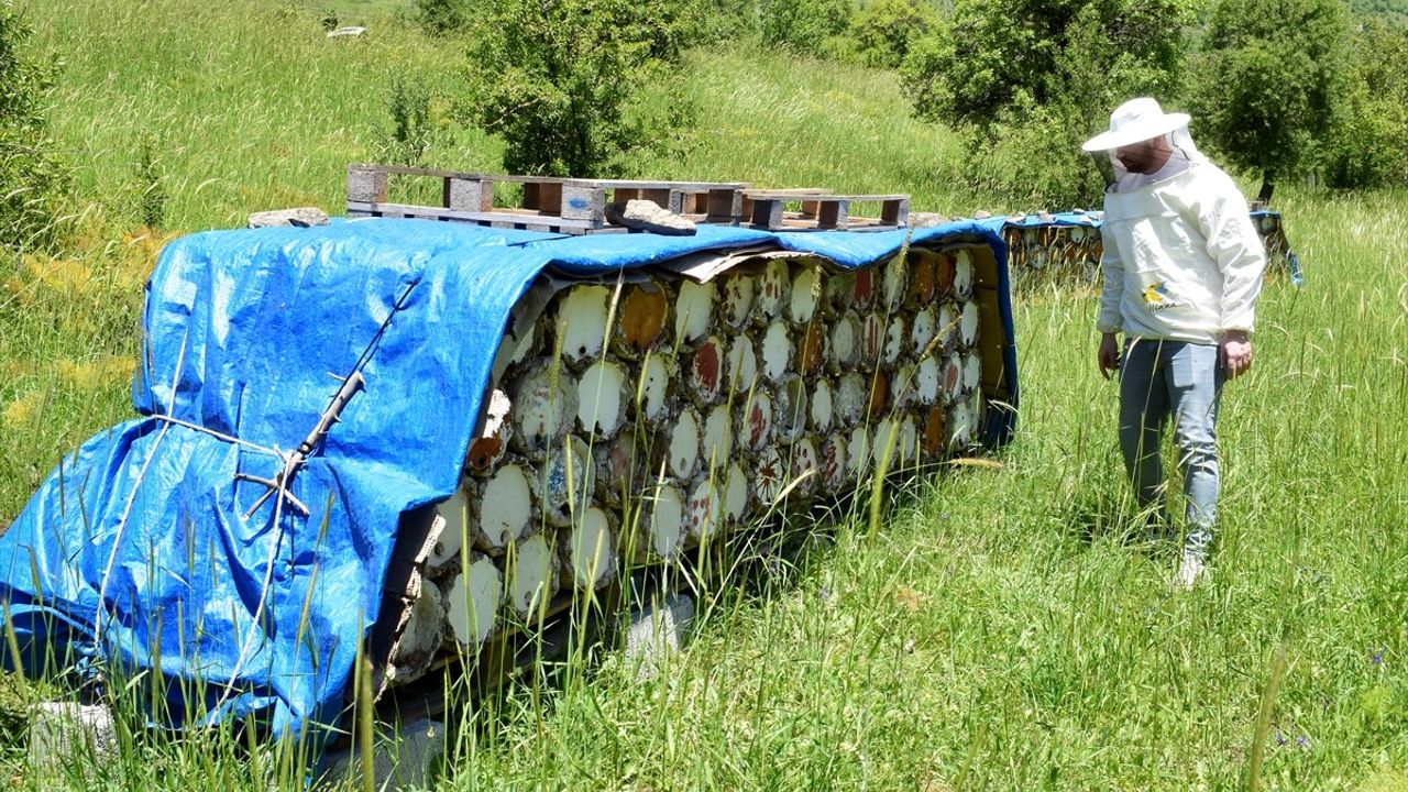 Bitlis Balı, Paris'te İki Yıl Üst Üste 'Altın Bal' Ödülünü Kazandı
