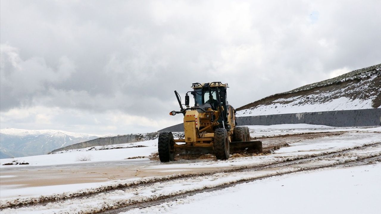 Bitlis'te Sahipsiz Hayvanlara Yönelik İzleme ve Denetim Toplantısı Gerçekleştirildi