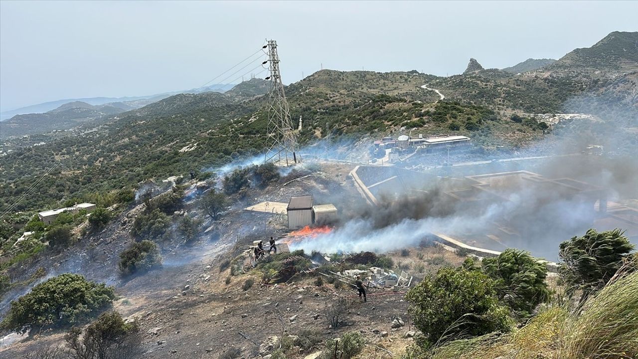 Bodrum'da Yerleşim Yakınlarında Yangınla Mücadele Ediliyor