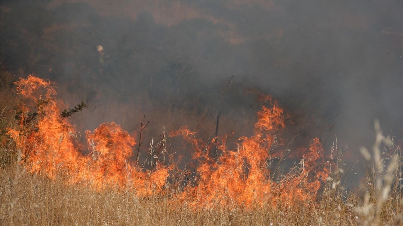 Bodrum'daki Otluk Alanda Yangın Kontrol Altına Alındı