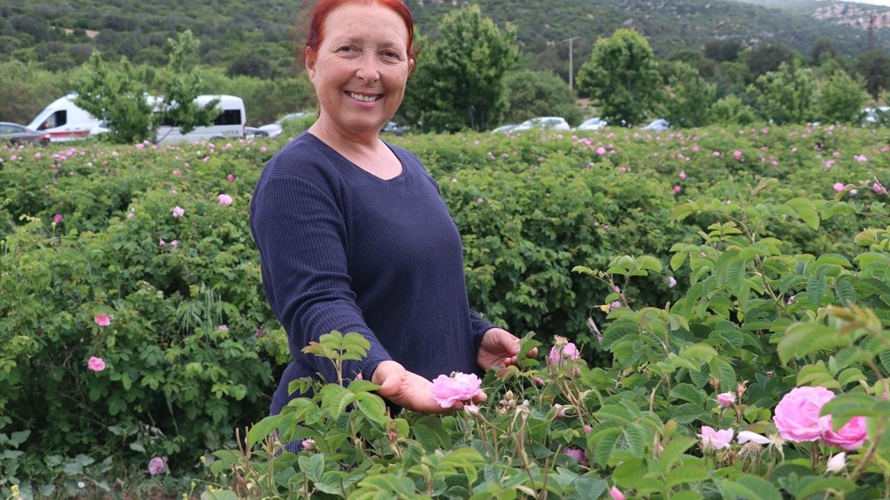 Burdur'da DoğaFest: Gül Hasadı ve Doğa Okulu Etkinlikleri Gerçekleşti