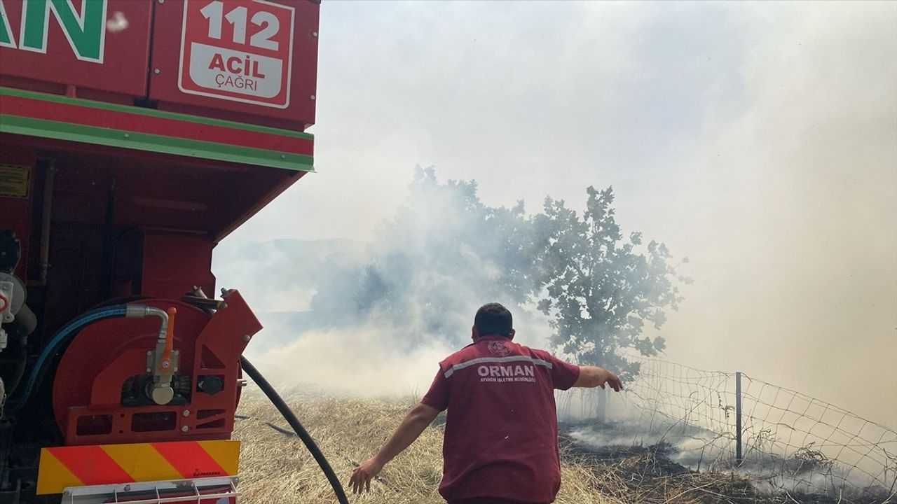 Çanakkale'nin Ezine İlçesinde Orman Yangını Kontrol Altına Alındı