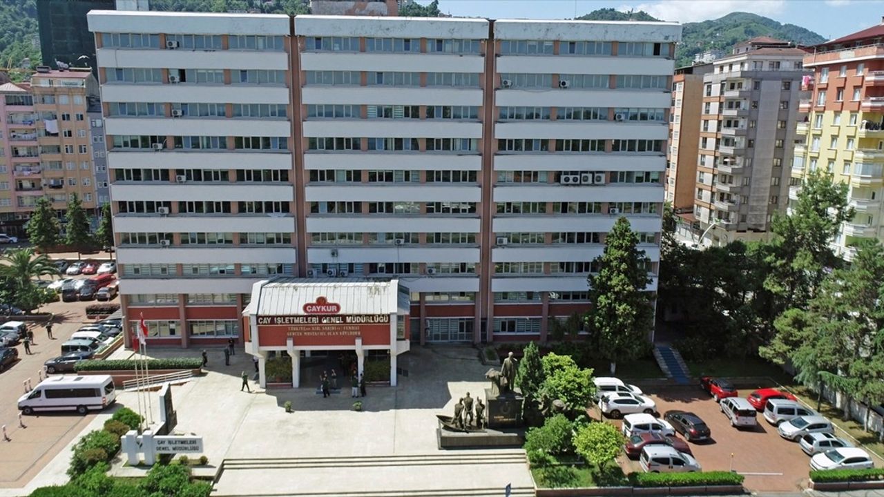 ÇAYKUR 2025 Yılı Yaş Çay Kampanyasını Başlattı
