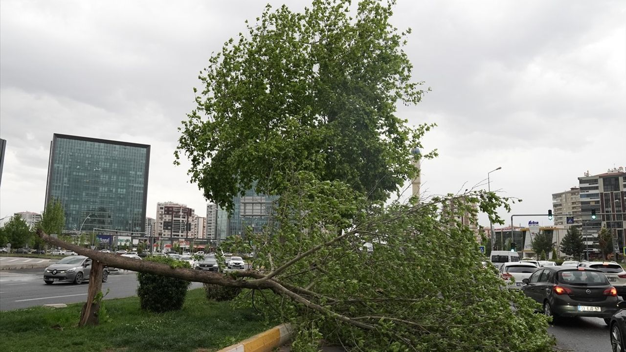 Diyarbakır'da Fırtına Etkili Oldu: Çatıları Uçurdu, Ağaçları Devrildi