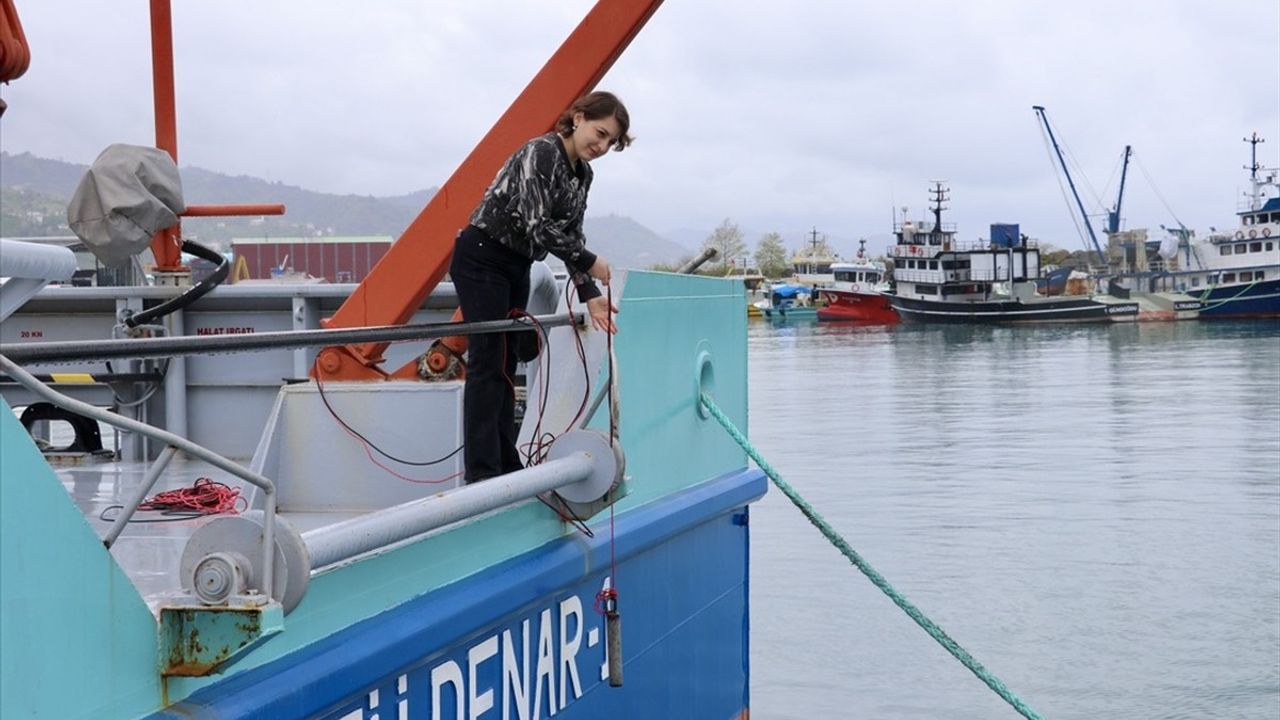 Doğu Karadeniz'de Su Altı Gürültü Kirliliği Ölçülüyor