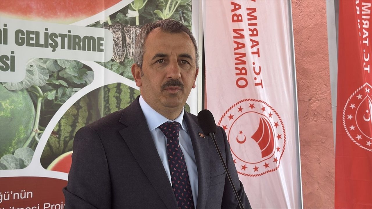 Edirne'de Çiftçilere 66 Bin 640 Karpuz Fidesi Dağıtıldı