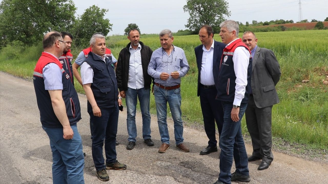 Edirne'de Dolu Yağışı Sonrası Tarım Arazilerinde Hasar Tespit Çalışmaları