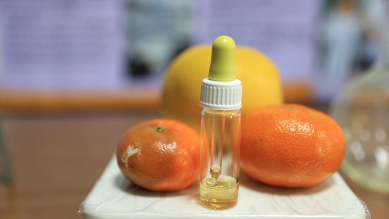 Edirne Ortaokul Öğrencileri Doğal Solüsyonla Mandalina Raf Ömrünü Uzattı