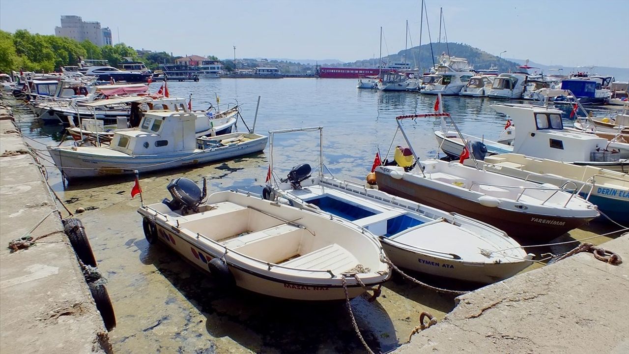 Erdek Körfezi'nde Müsilaj Oluşumu Görüldü