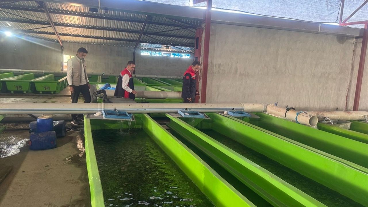 Erzincan'da Su Ürünleri Üretim Kapasitesi Artıyor