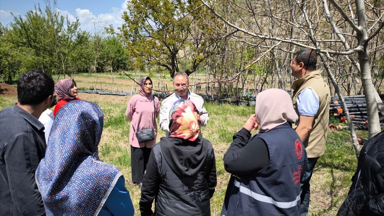 Erzincan'da Zirai Don Hasar Tespit Çalışmaları Devam Ediyor