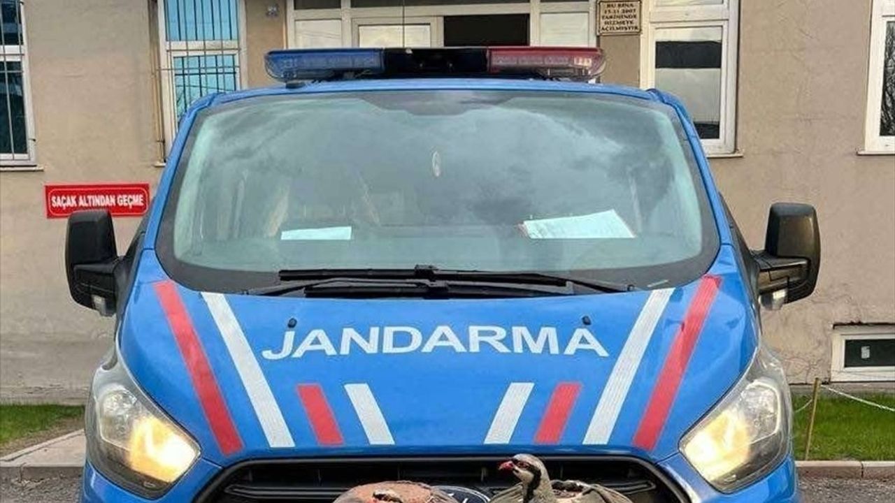 Erzurum'da Kaçak Avcıya 13 Bin 500 Lira Ceza