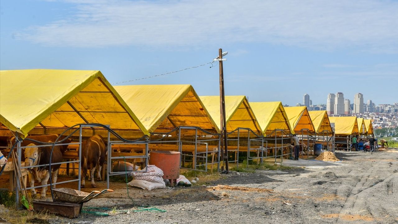 Esenyurt’ta Kurban Satış ve Kesim Alanı Hazır