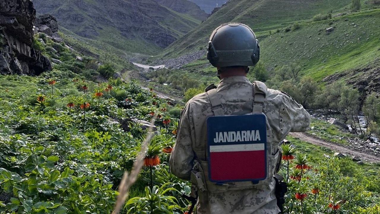 Hakkari'de Ters Laleler Jandarma Tarafından Korunuyor