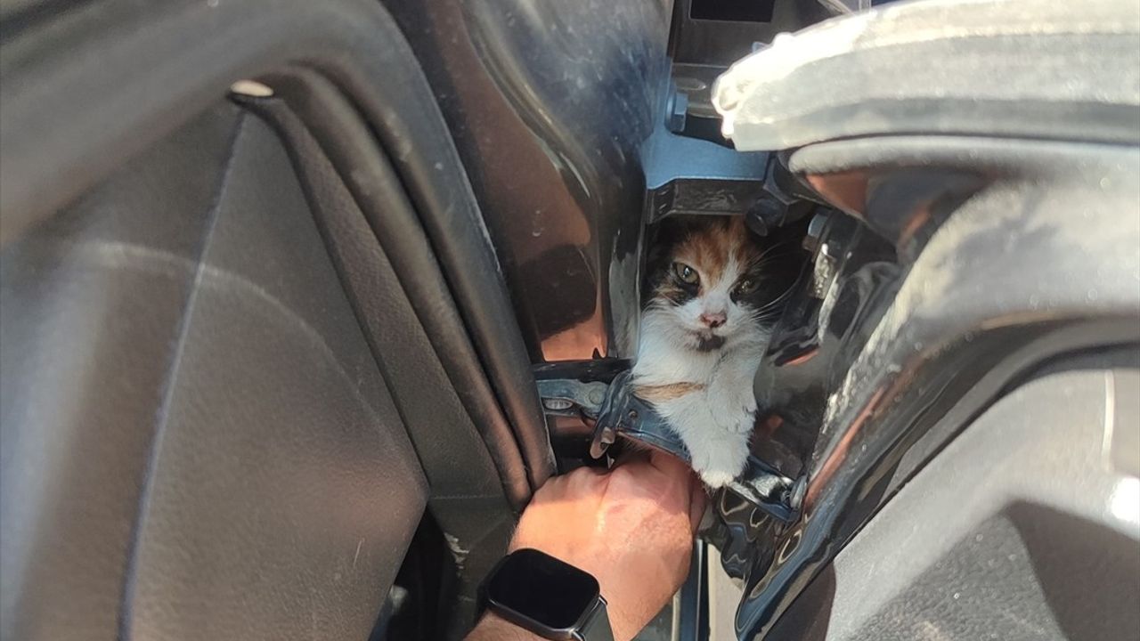 Hatay'da Otomobilin Kapısına Sıkışan Kedi Yavrusuna İtfaiye Müdahale Etti