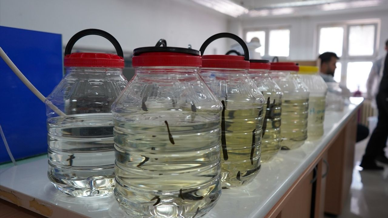 Isparta'da 9. Uygulamalı Tıbbi Sülük Yetiştiriciliği Eğitimi Tamamlandı