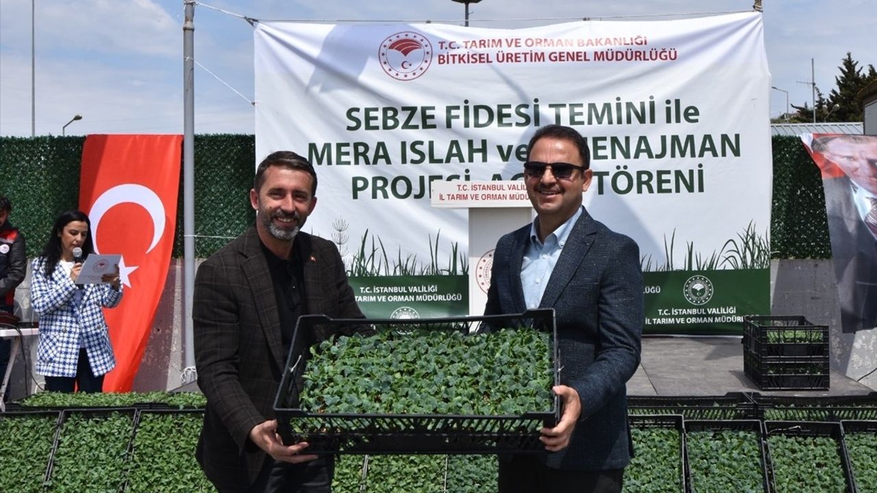 İstanbul'da 1 Milyon 254 Bin Fide Üreticilere Dağıtılacak