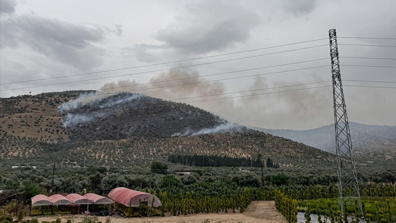 İzmir'in Bayındır İlçesinde Zeytinlik Alanda Yangın Kontrol Altına Alındı