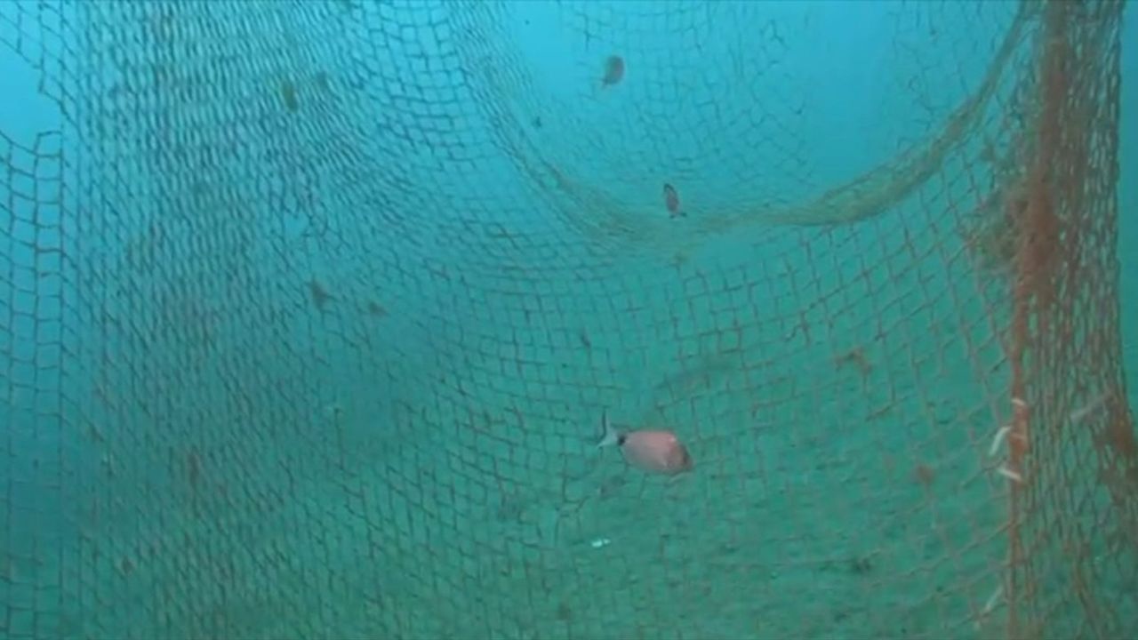 İzmir Karaburun'da 1,5 Ton Hayalet Ağ Temizliği Yapıldı