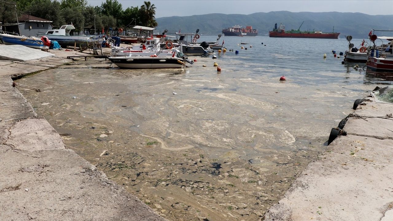 İzmit Körfezi'nde Köpüksü Tabakanın Temizlenmesi İçin Çalışmalar Başlatıldı