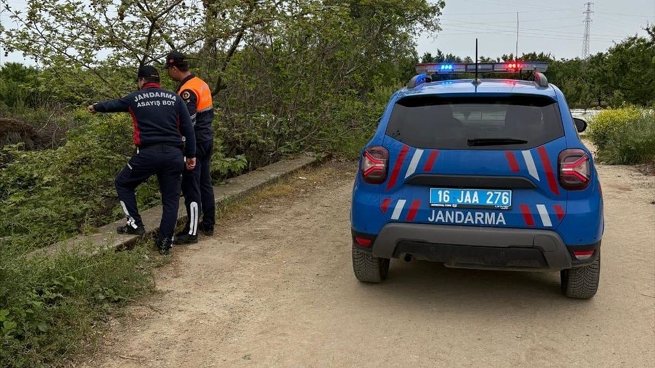İznik Gölü'nde Kaçak AVCILIK: 13 Kişi Yakalandı, Cezalar Kesildi