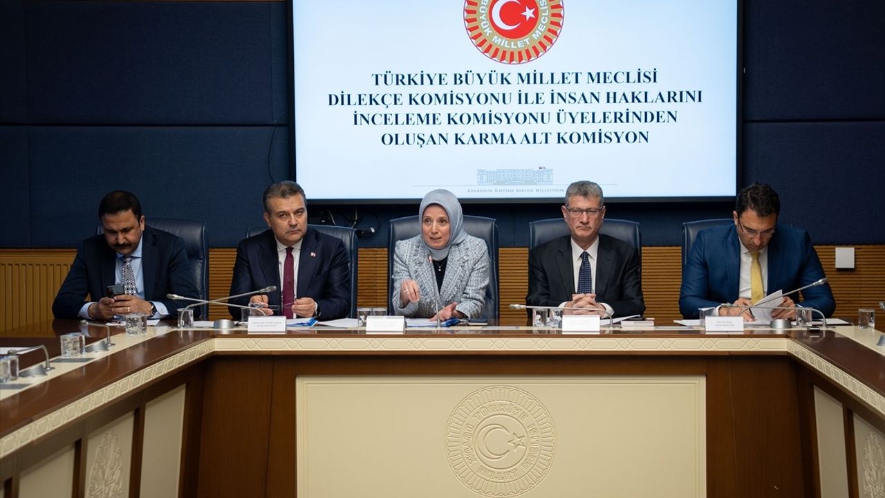 Kamu Denetçileri TBMM'de Milletvekillerine 2024 Faaliyet Raporunu Sundular