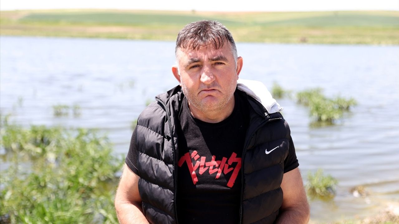 Kırklareli'nde Balık Ölümlerine Neden Olan Gölet İncelemesi Başlatıldı