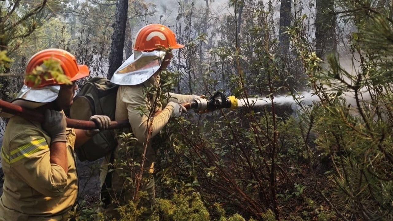 Kütahya'da Orman Yangını Kontrol Altına Alındı