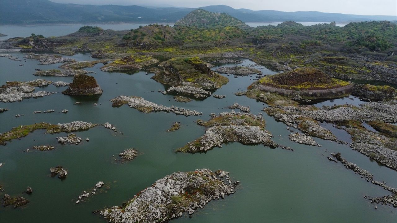 Manisa'daki Lav Kalıntıları, Göçmen Kuşların Üreme Alanı Haline Geldi