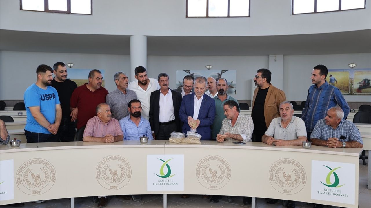 Mardin'de Arpa Hasadı Başladı: İlk Ürün Satışa Sunuldu