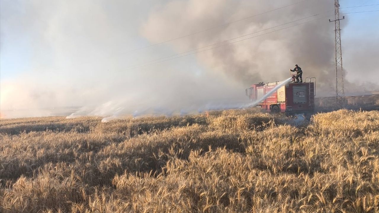 Mardin'de Yangınlar 155 Dönüm Buğday Alanını Zarar Gördü