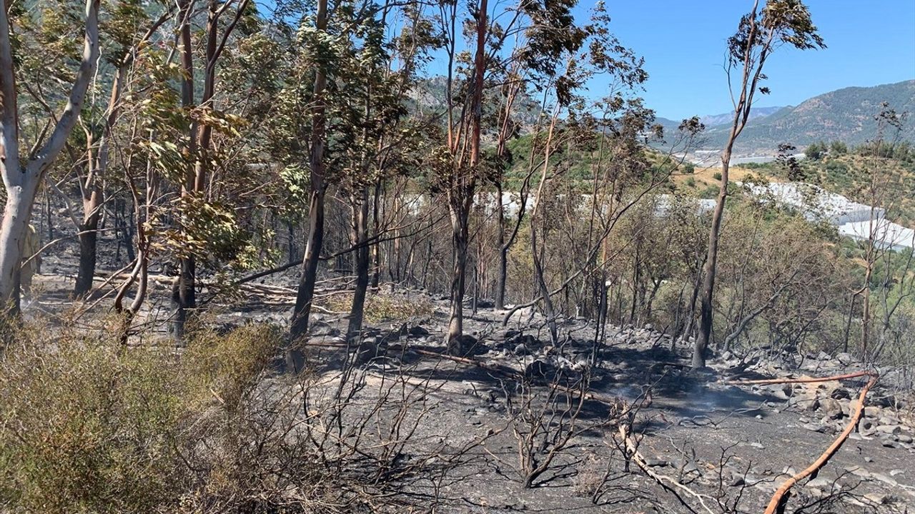 Mersin Anamur'da Zirai Alanda Çıkan Yangın Kontrol Altına Alındı