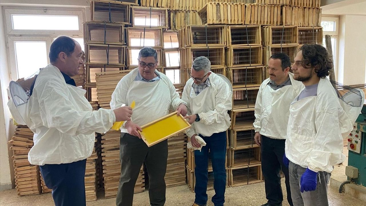 Ordu Arıcılık Araştırma Enstitüsü'nde 30 Ülkeden Arıcılara Eğitim Verildi