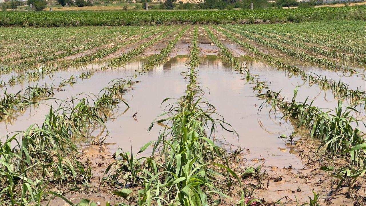 Osmaniye'de Sağanak ve Dolu Tarım Arazilerine Zarar Verdi