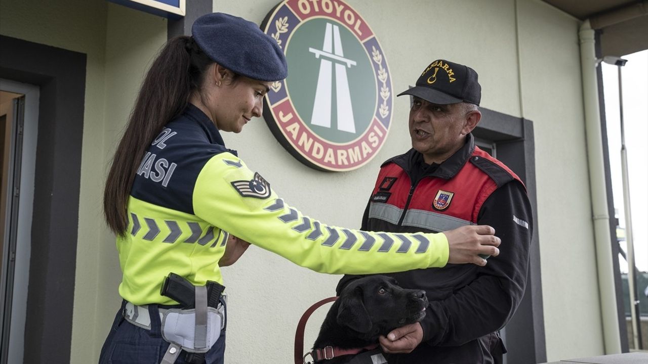 Otoyollarda Yapay Zeka Destekli Güvenlik Sistemleri Aktif