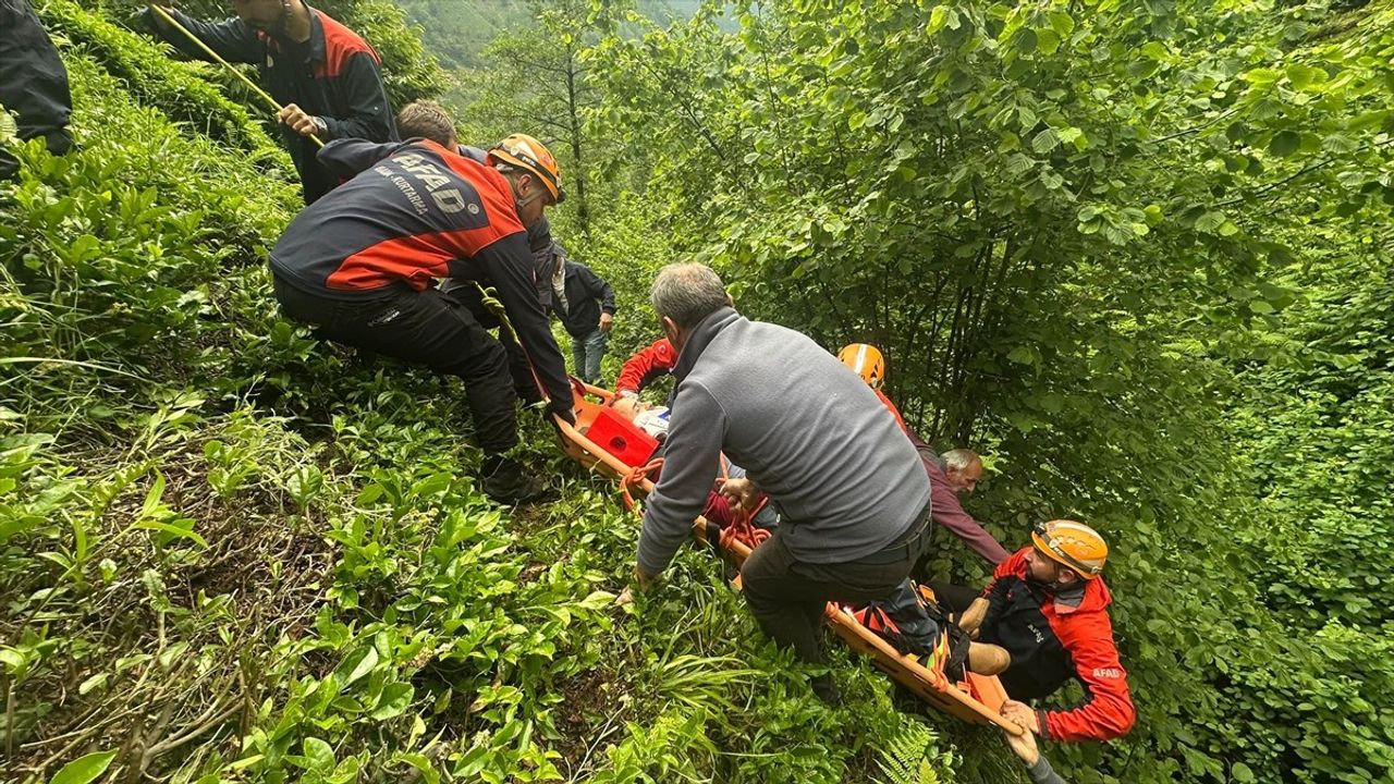 Rize'de Çay Hasadı Sırasında Yamaçtan Düşen Kişi Yaralandı