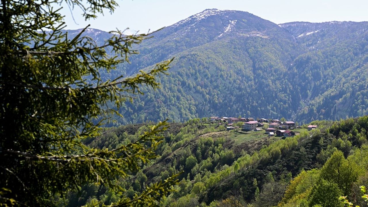 Rize'nin Doğal Güzellikleri Ziyaretçilerini Bekliyor