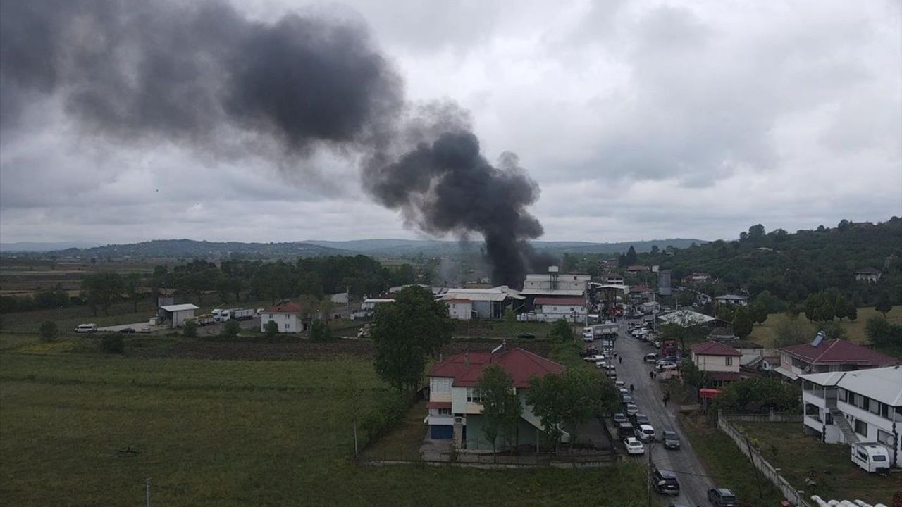 Sakarya'da Fındık Kırım Fabrikasında Yangın Kontrol Altına Alındı