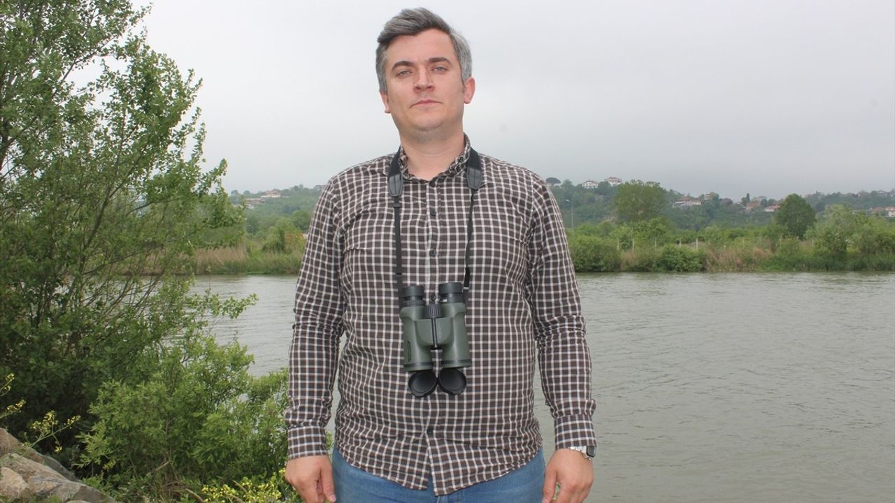 Sakarya'da Fotokapanla Su Samuru Görüntülendi